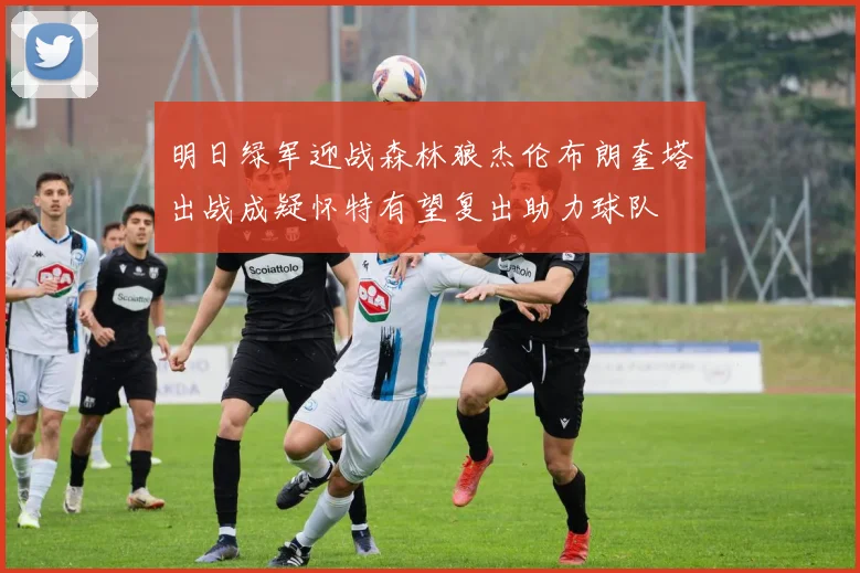 明日绿军迎战森林狼杰伦布朗奎塔出战成疑怀特有望复出助力球队