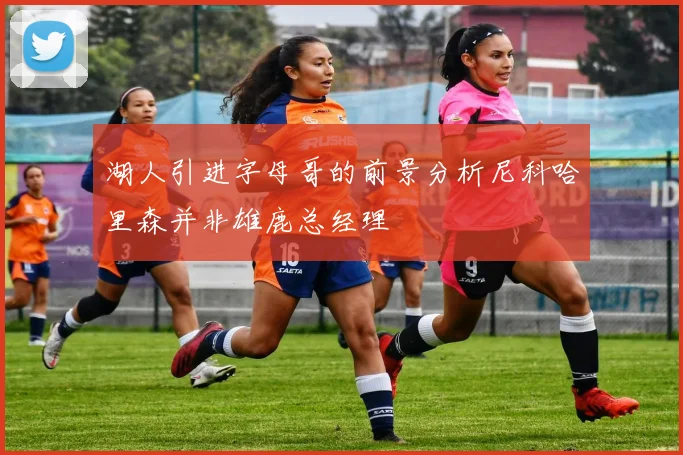 湖人引进字母哥的前景分析尼科哈里森并非雄鹿总经理