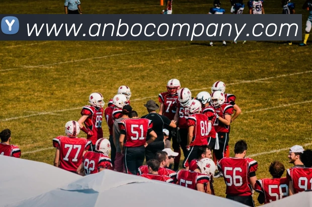 安博体育APP 封面图