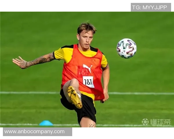 斯文松谈加盟多特：这是我职业生涯中的绝佳机会与完美契合