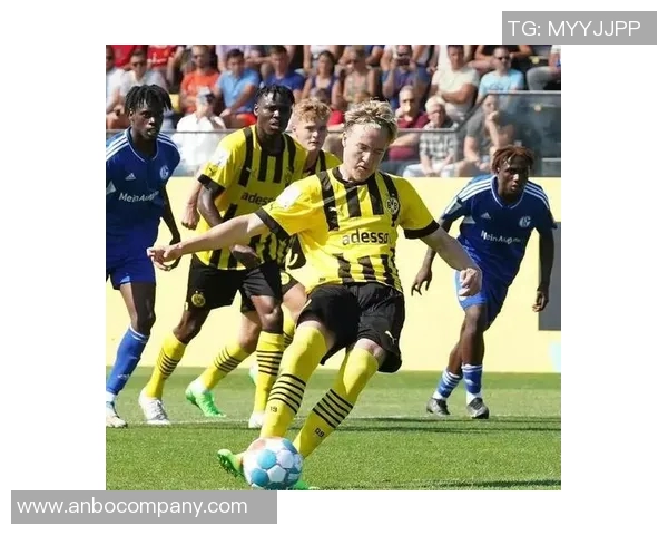 聚勒缺席德国杯比赛面临压力证明自己的机会日益减少