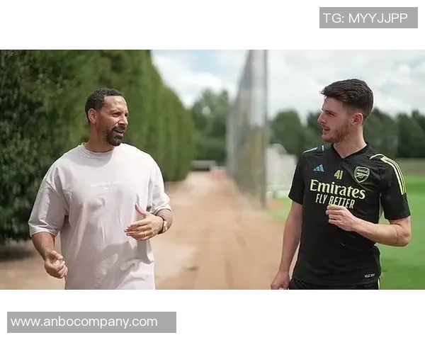 莱斯费迪南德点评阿森纳表现不足比分却显五星级水准