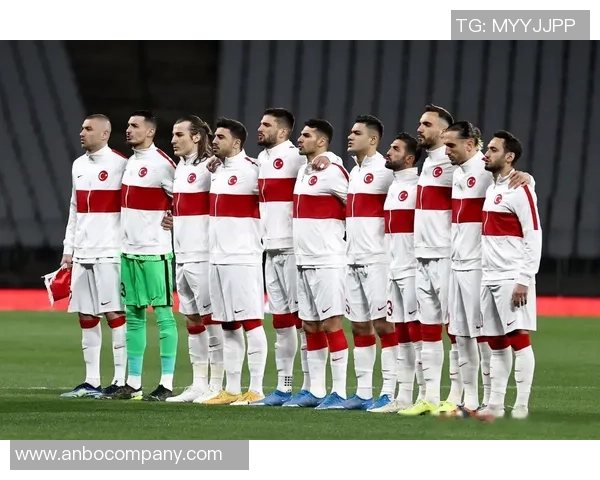 世界杯D组分析土耳其争夺晋级名额居莱尔与普利西奇对决